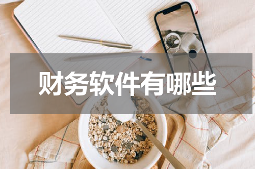 财务软件有哪些