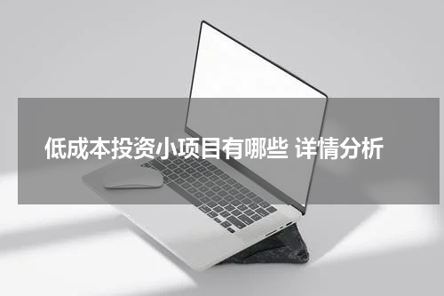 低成本投资小项目有哪些 详情分析