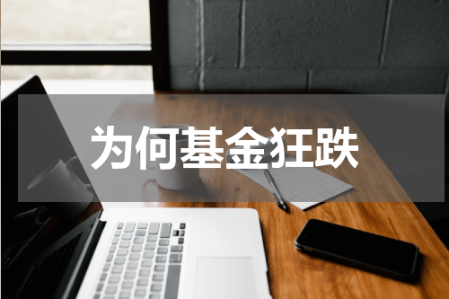 为何基金狂跌