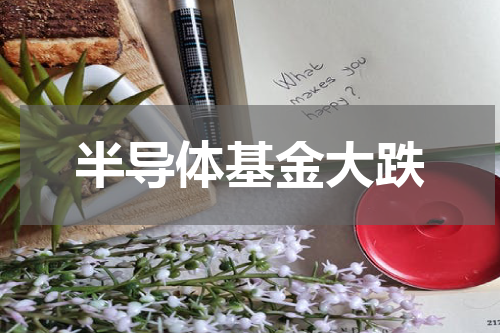 半导体基金大跌