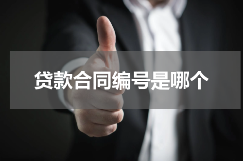贷款合同编号是哪个