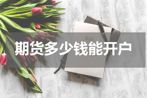 期货多少钱能开户