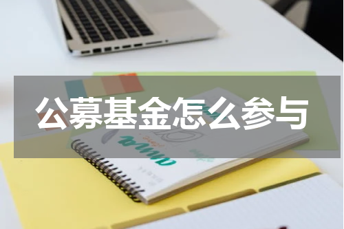 公募基金怎么参与