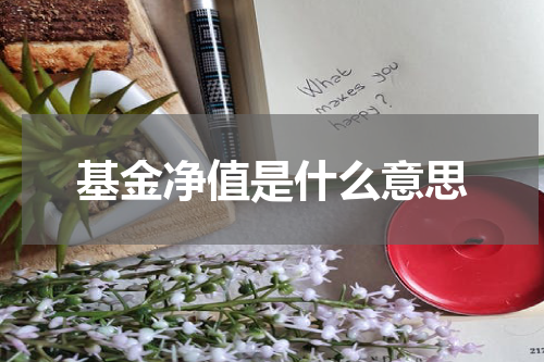 基金净值是什么意思
