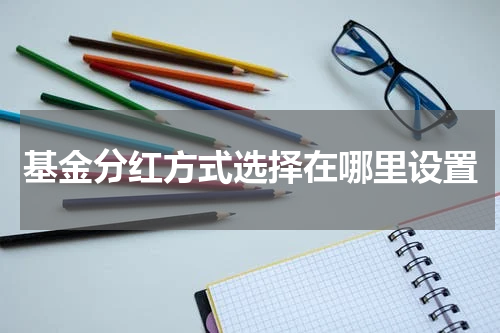 基金分红方式选择在哪里设置
