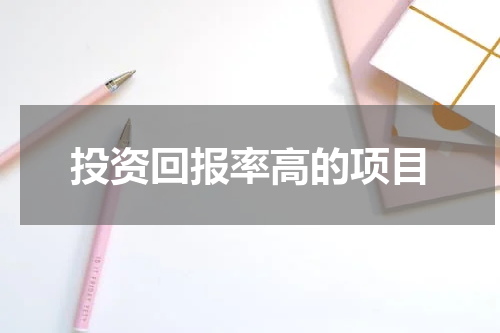 投资回报率高的项目