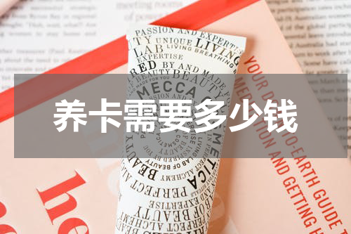 养卡需要多少钱
