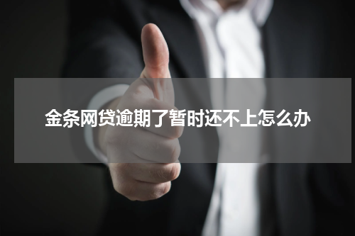 金条网贷逾期了暂时还不上怎么办
