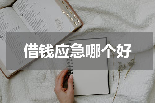 借钱应急哪个好