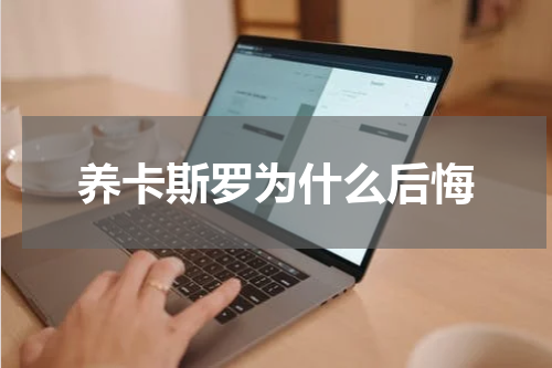 养卡斯罗为什么后悔