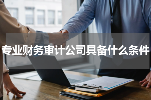 专业财务审计公司具备什么条件