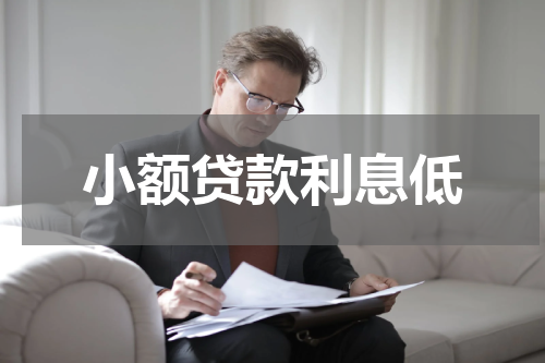 小额贷款利息低