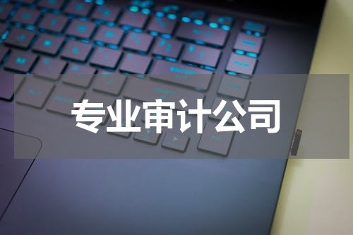 专业审计公司