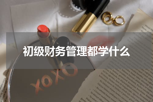 初级财务管理都学什么