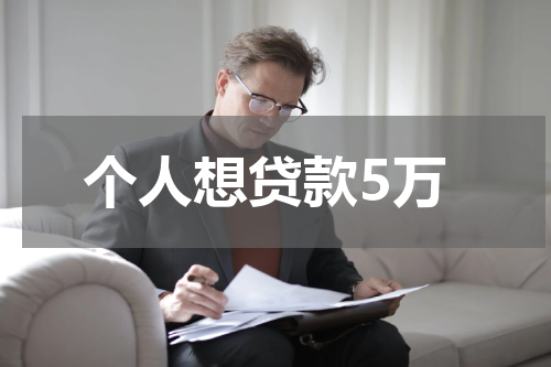 个人想贷款5万