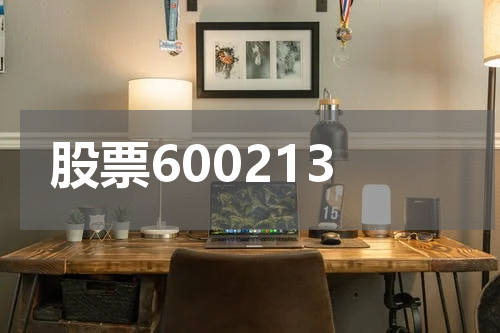 股票600213