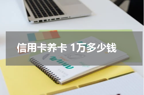 信用卡养卡 1万多少钱
