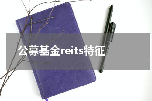 公募基金reits特征
