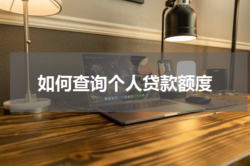 如何查询个人贷款额度