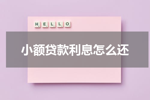 小额贷款利息怎么还