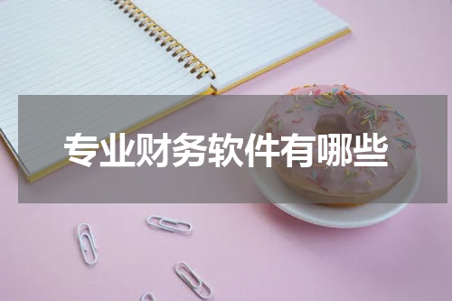 专业财务软件有哪些