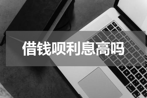 借钱呗利息高吗