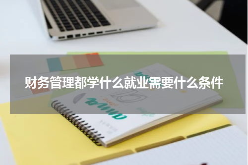 财务管理都学什么就业需要什么条件