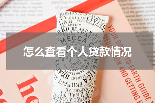 怎么查看个人贷款情况
