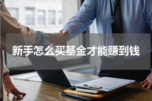 新手怎么买基金才能赚到钱