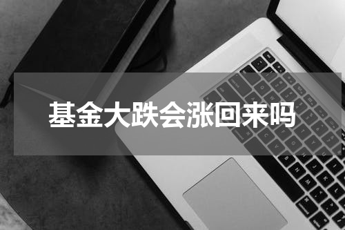 基金大跌会涨回来吗