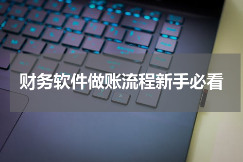 财务软件做账流程新手必看
