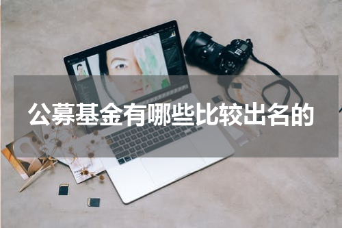 公募基金有哪些比较出名的