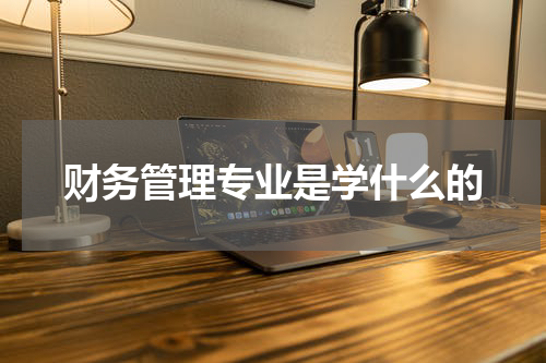 财务管理专业是学什么的