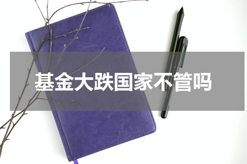 基金大跌国家不管吗