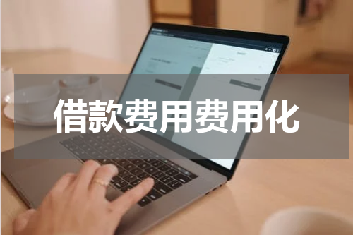 借款费用费用化