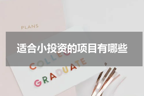 适合小投资的项目有哪些