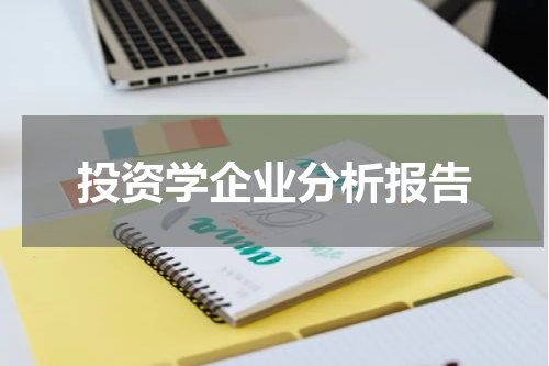 投资学企业分析报告