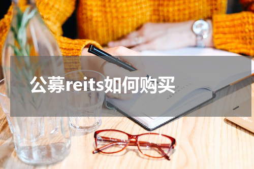 公募reits如何购买