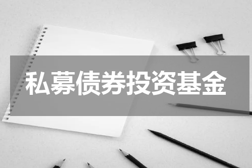 私募债券投资基金