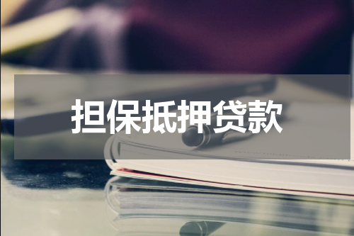 担保抵押贷款