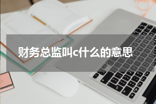 财务总监叫c什么的意思