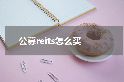 公募reits怎么买