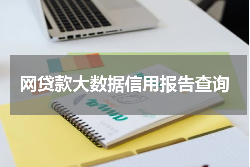 网贷款大数据信用报告查询