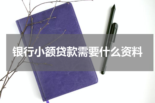 银行小额贷款需要什么资料