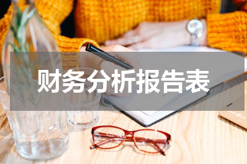财务分析报告表