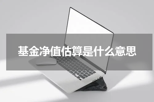 基金净值估算是什么意思