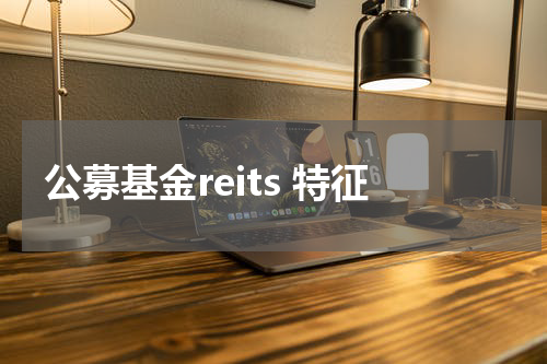 公募基金reits 特征