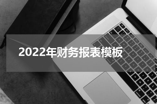 2022年财务报表模板