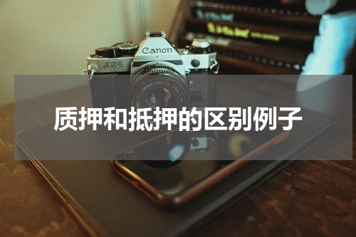 质押和抵押的区别例子