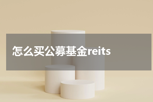怎么买公募基金reits